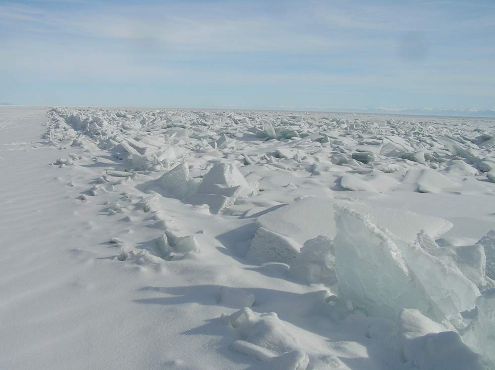 ������ � ������������