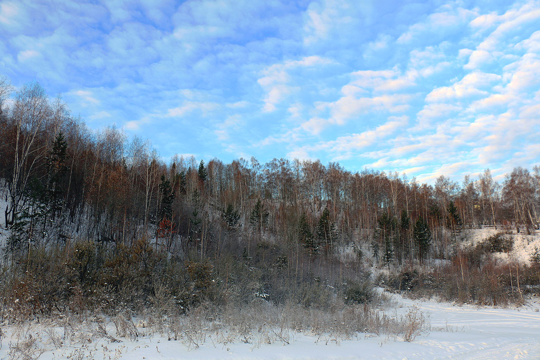 ������ ����