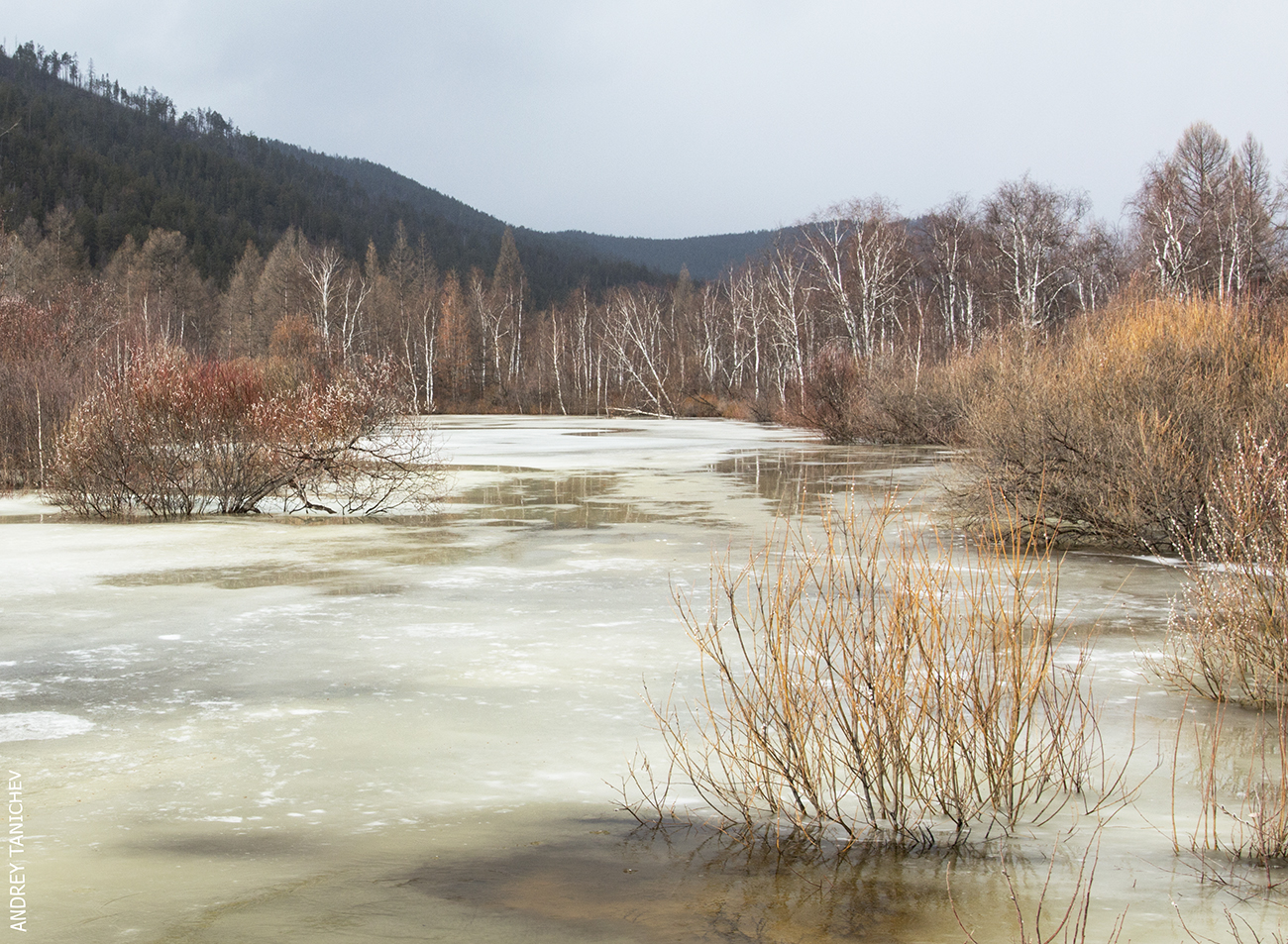 ������� �����������