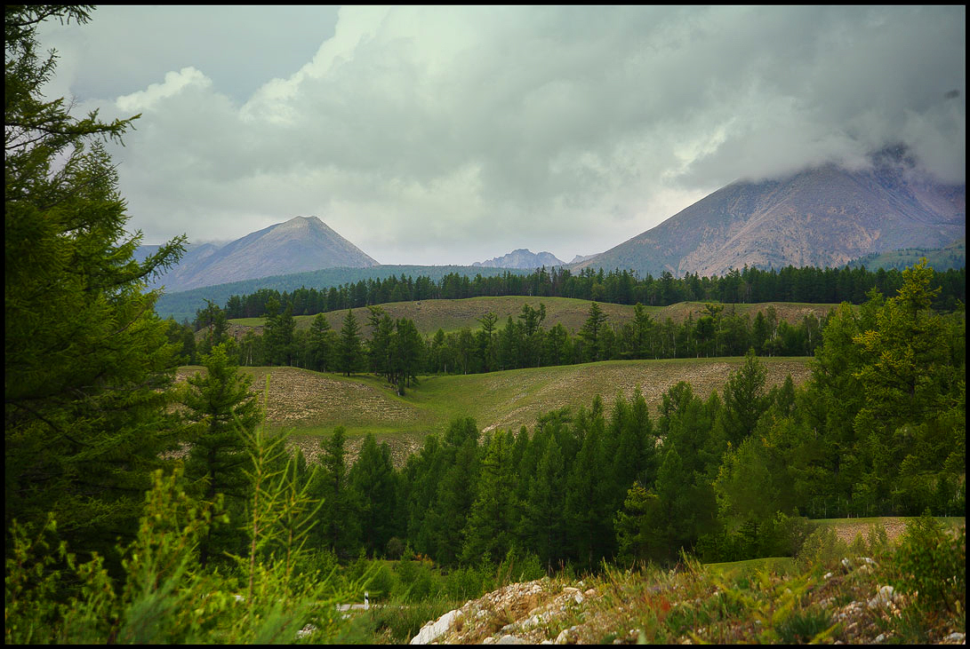 ����� ����