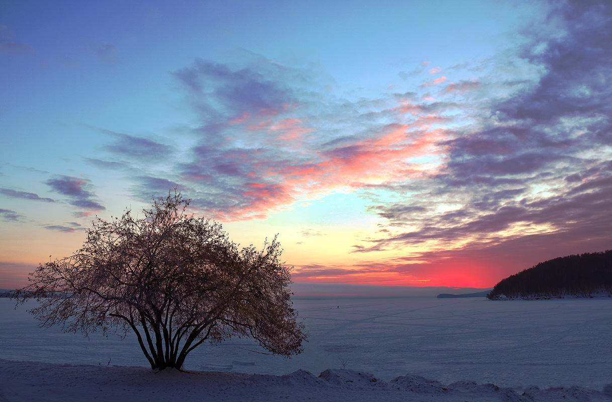 �������� ����� ����