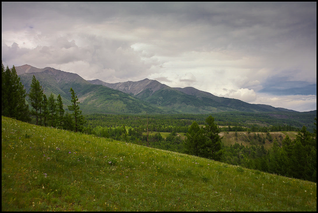 �������� �� ����