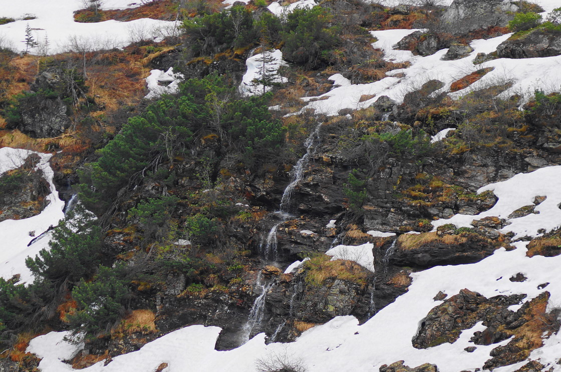 � ������ �