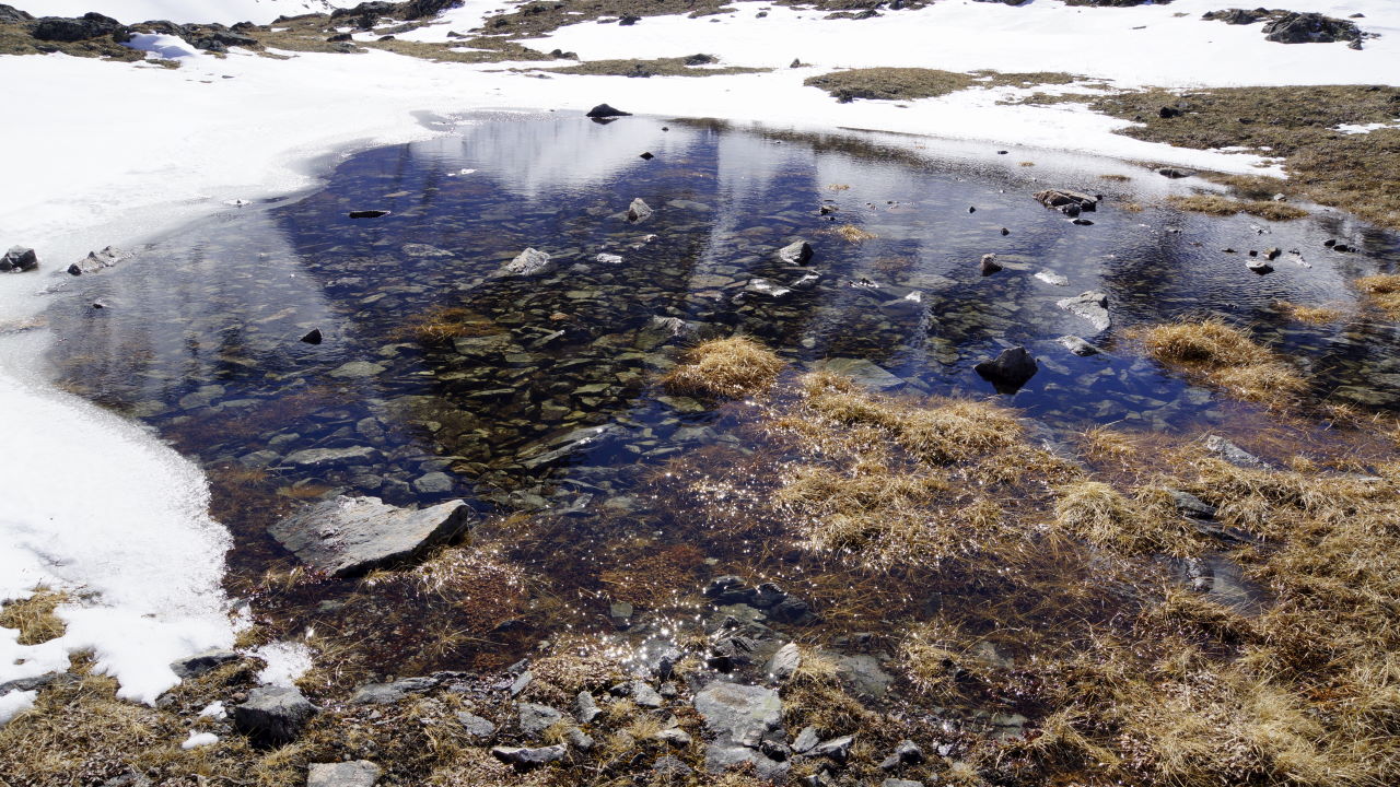 � ������ � ����� �. �����������