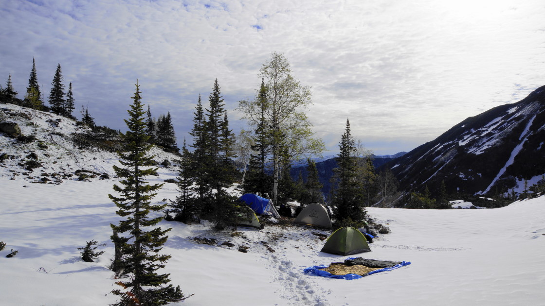 � "���������" �����