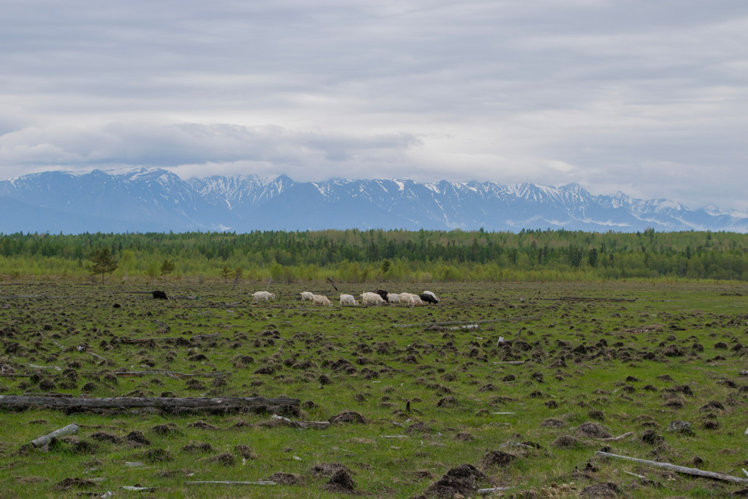 ��������� ���� � ������� ������