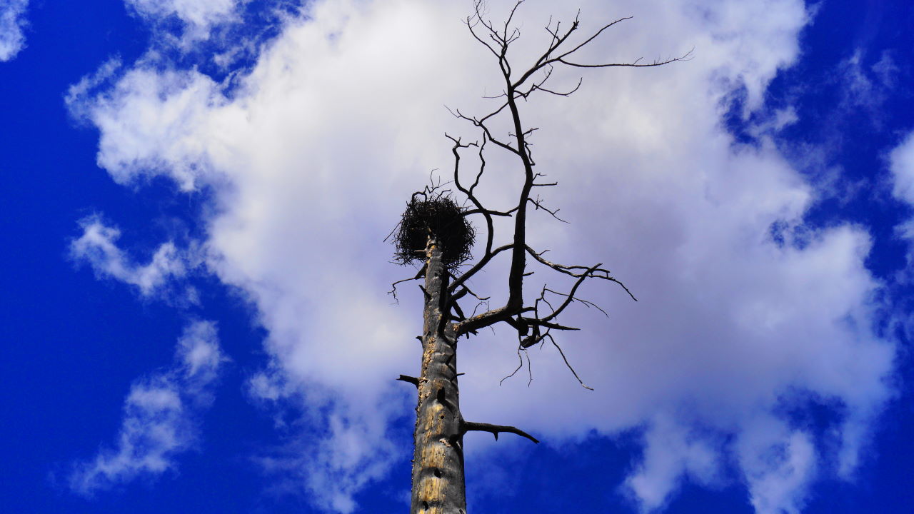 � ��� ��� ��� ��������� ������ �