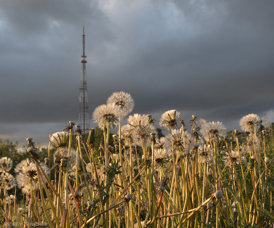 ����� ����� ����������� � �������� �