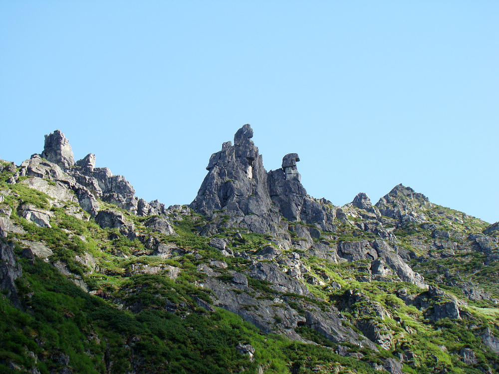 ������� ����� ����������