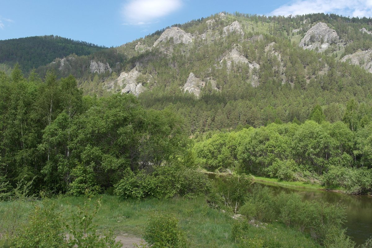 "��������" �����