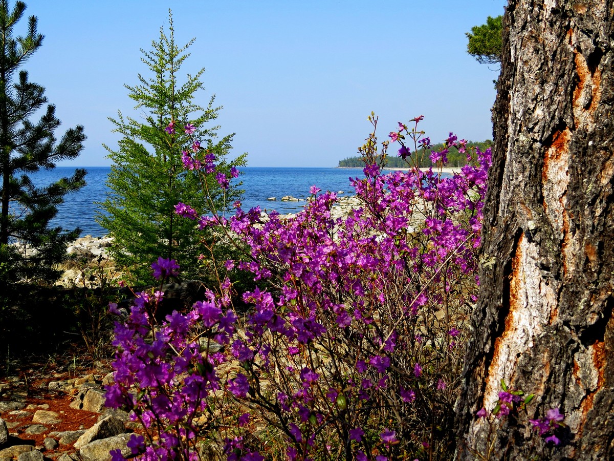 �� �������