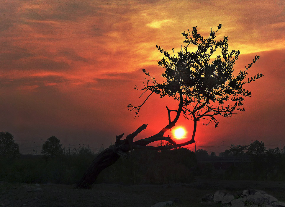 �� ��� �� ������� ������ ����������