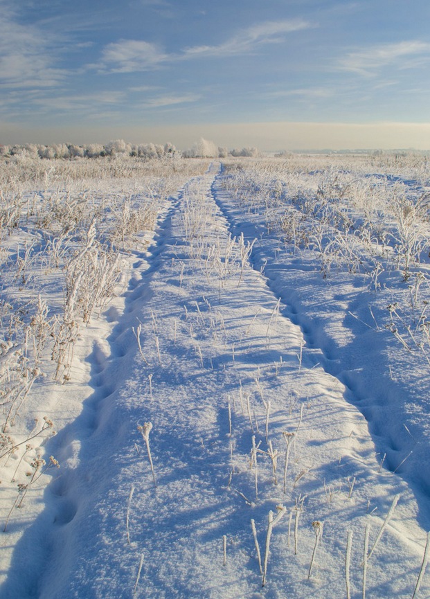 ������ ������ ����� ��������� ������