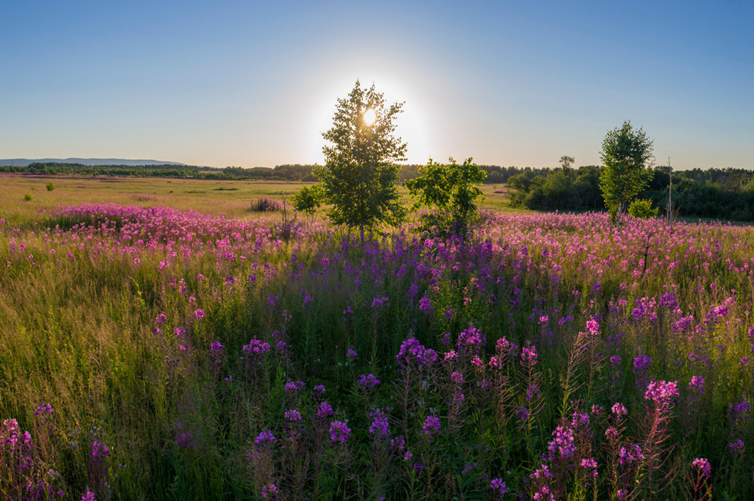 �������� ����� �� ����