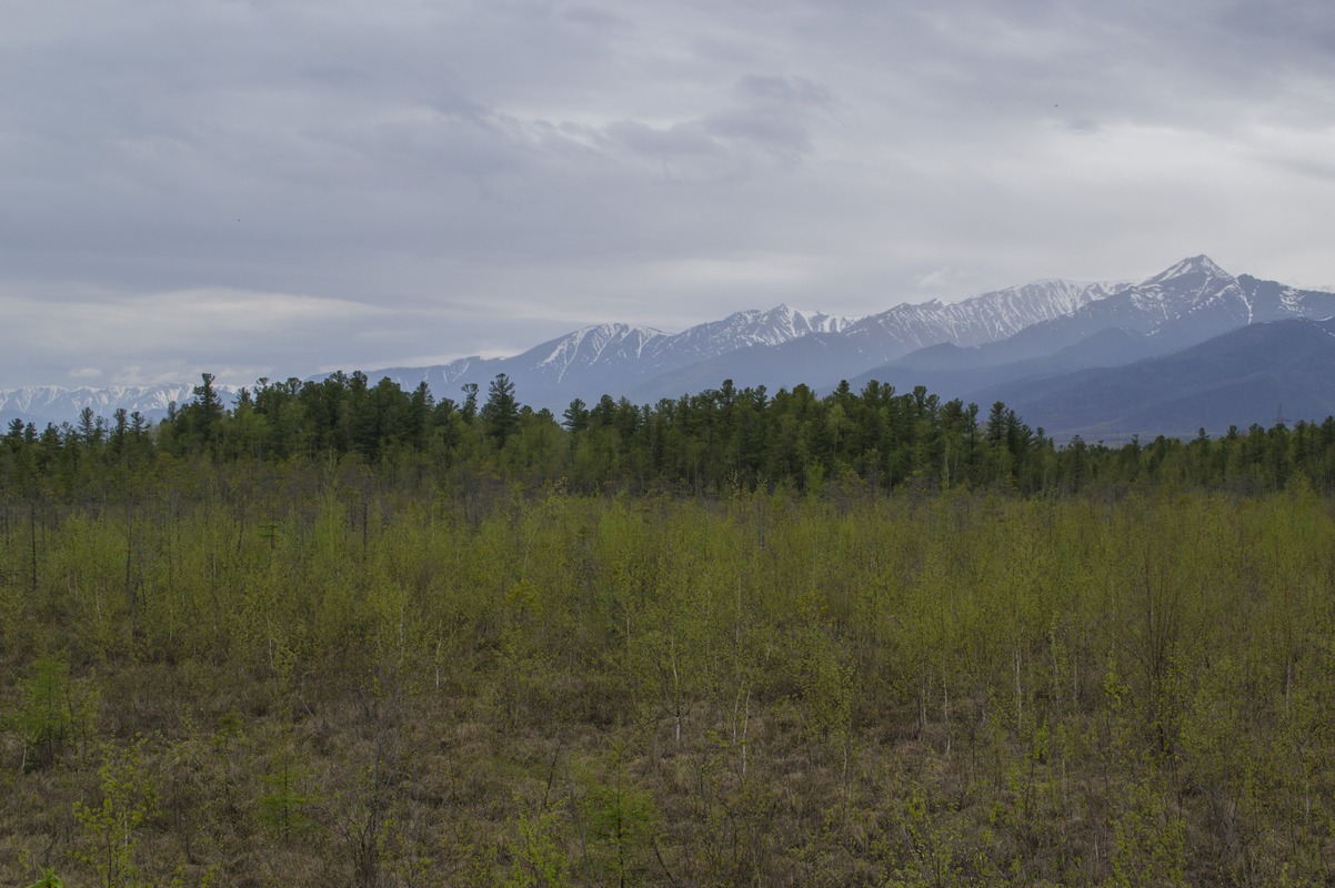 � ������������ ������