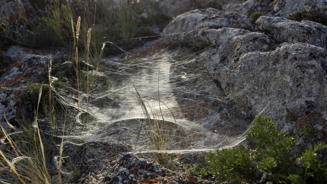 � ���������� �������� �