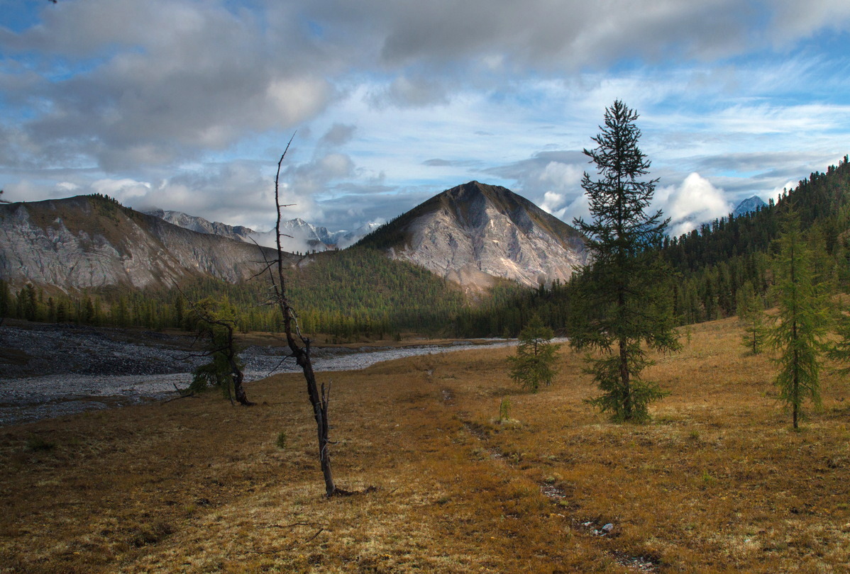 ����� ������