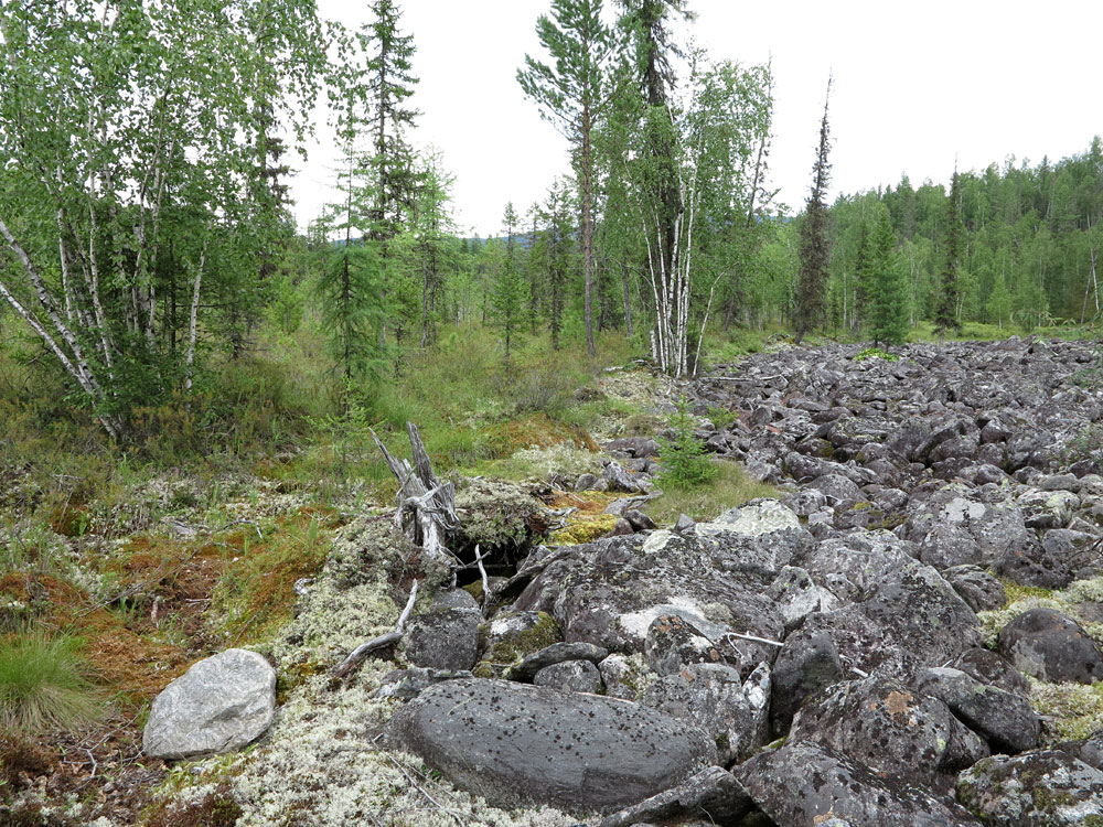 ����� ����������� �������