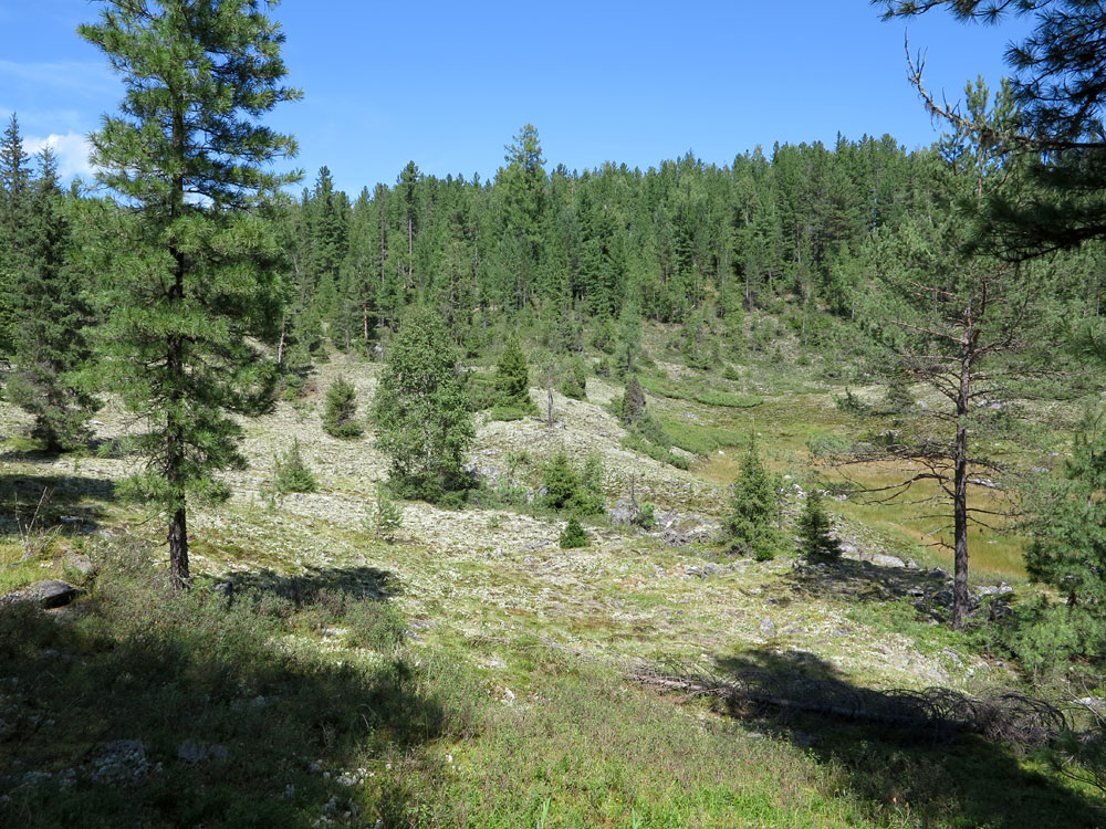 ����� ��������