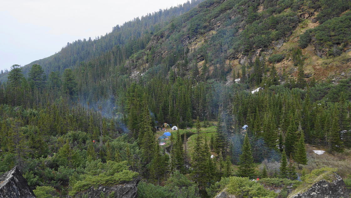 � �������� ��������� ����� �