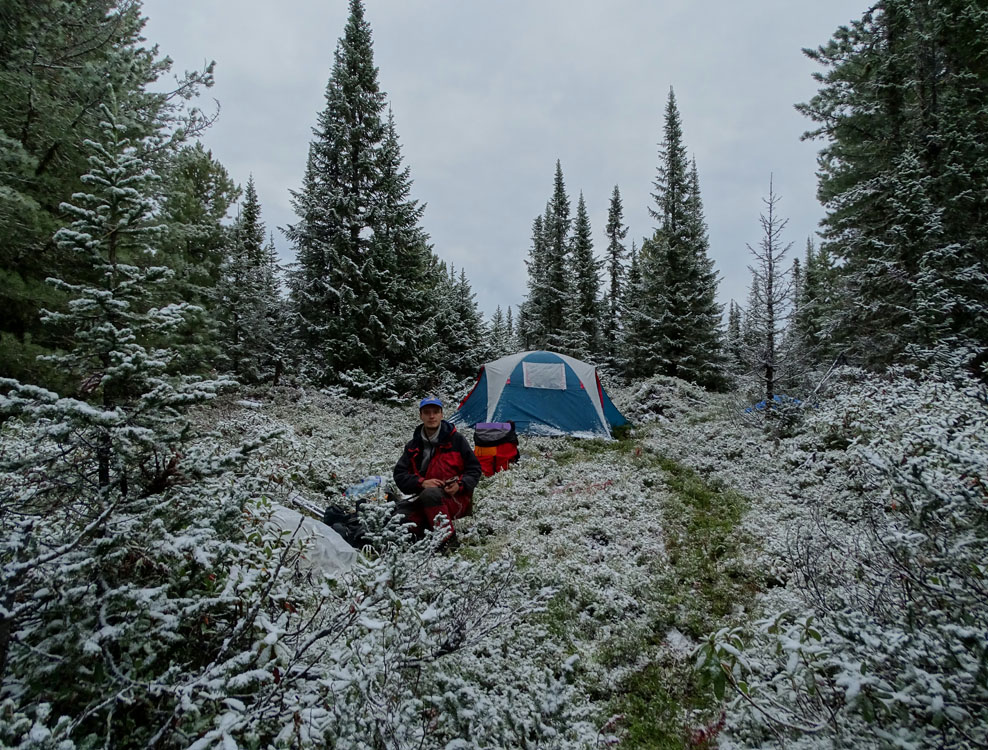 ������ ����