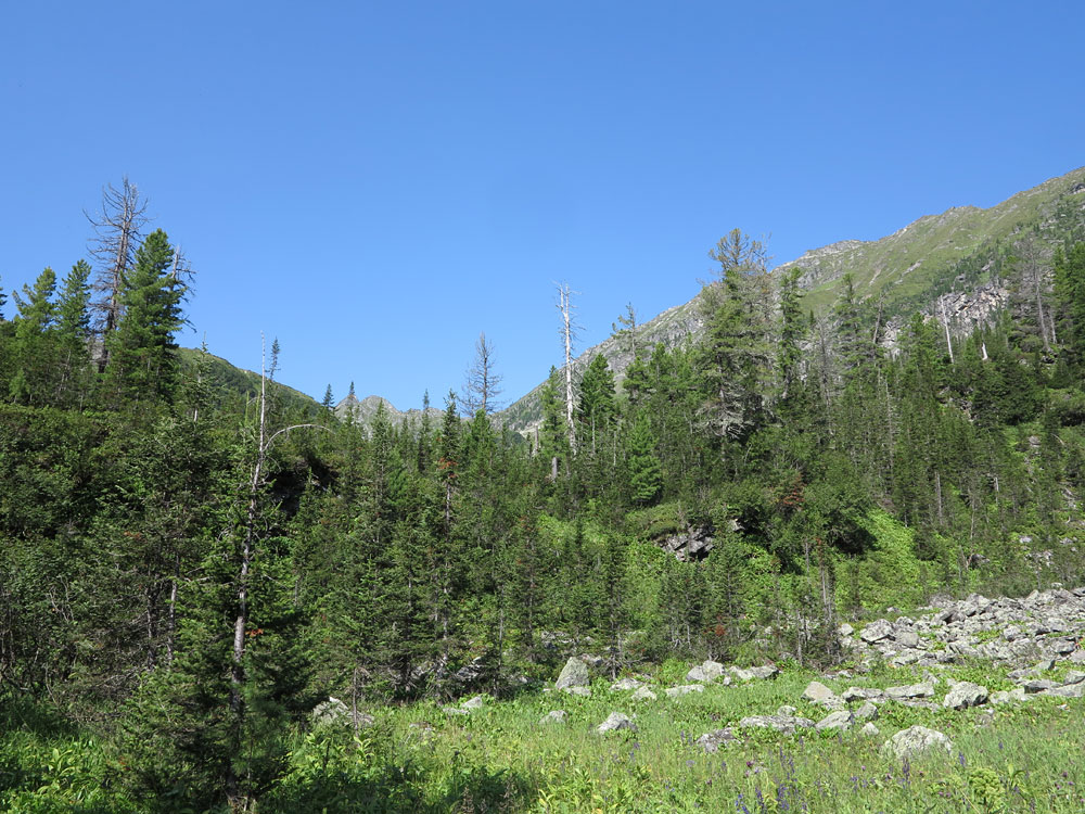 ��������� ������