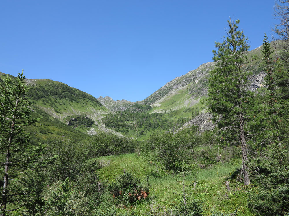 ������� - ������ ����