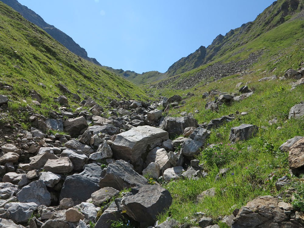 ������ �������� ������� ������� � �������� ��� �����������