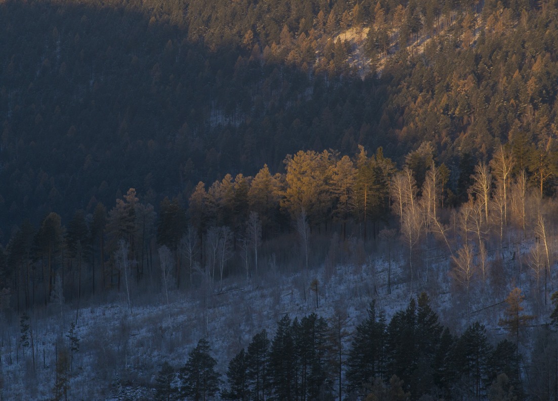 ���������� �����