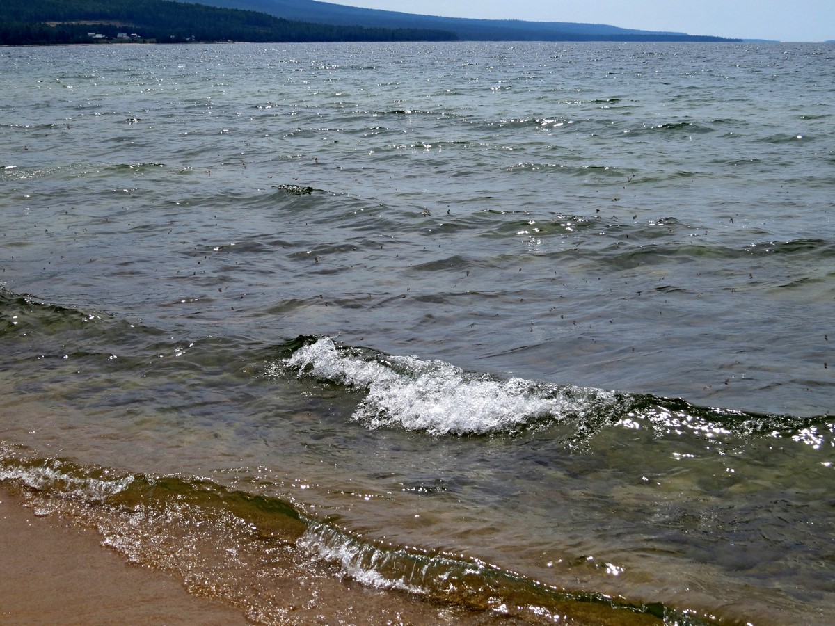 � ������ � �����