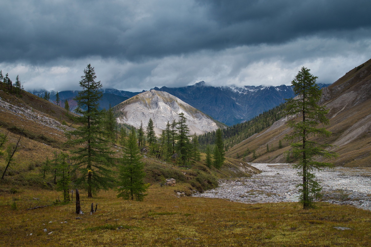 ����� �����