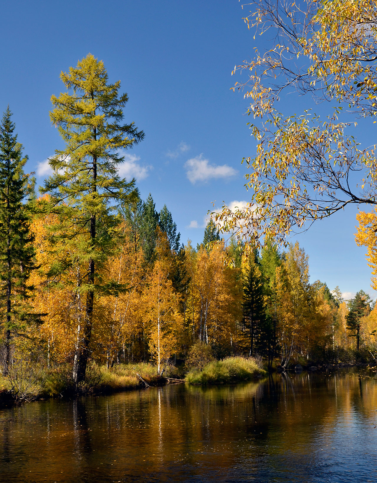 � ������