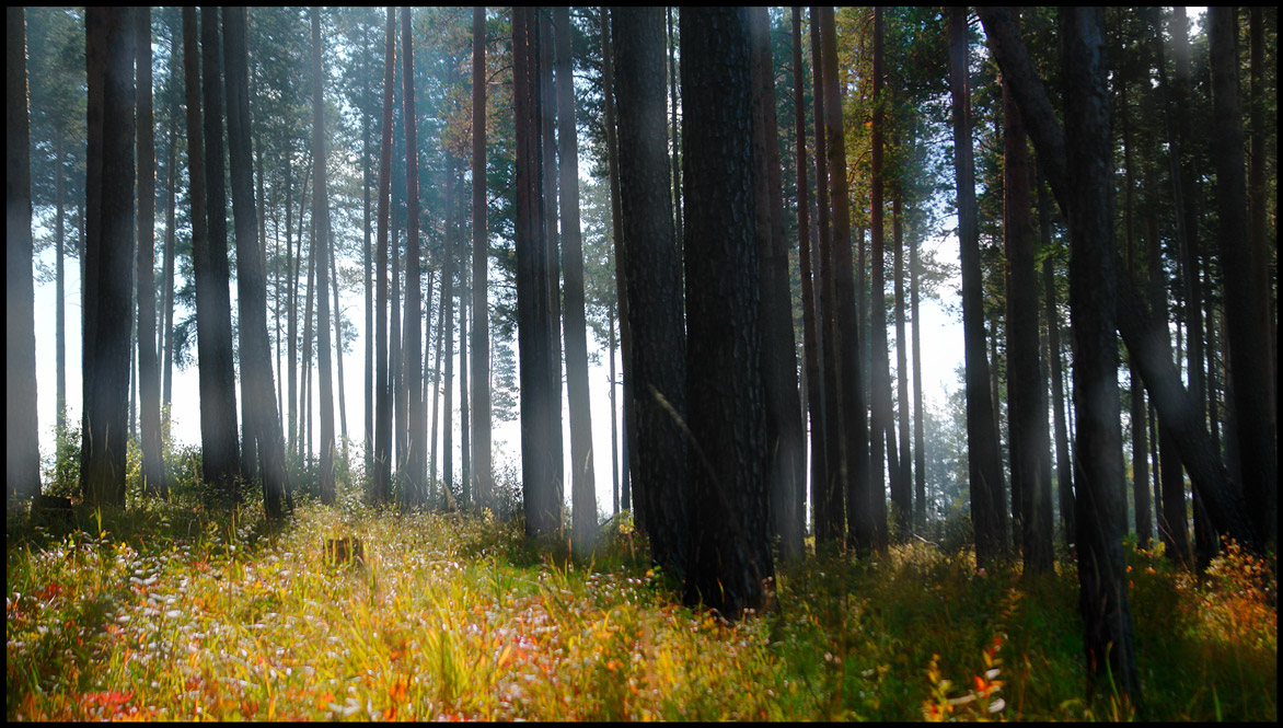 ��������� ���