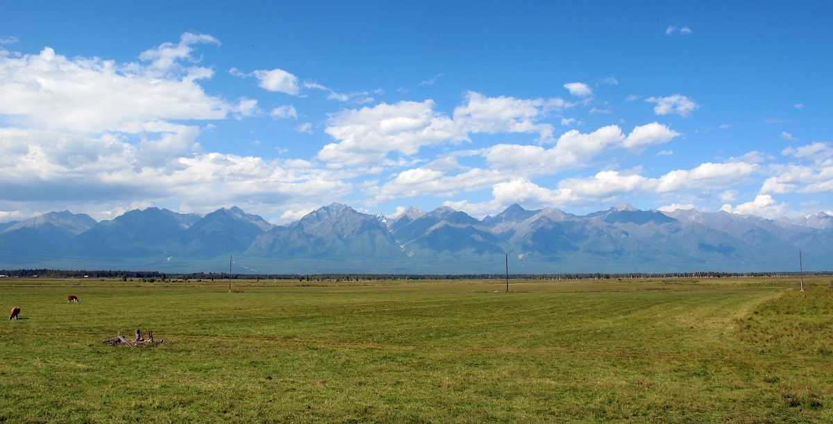 ���������� �������