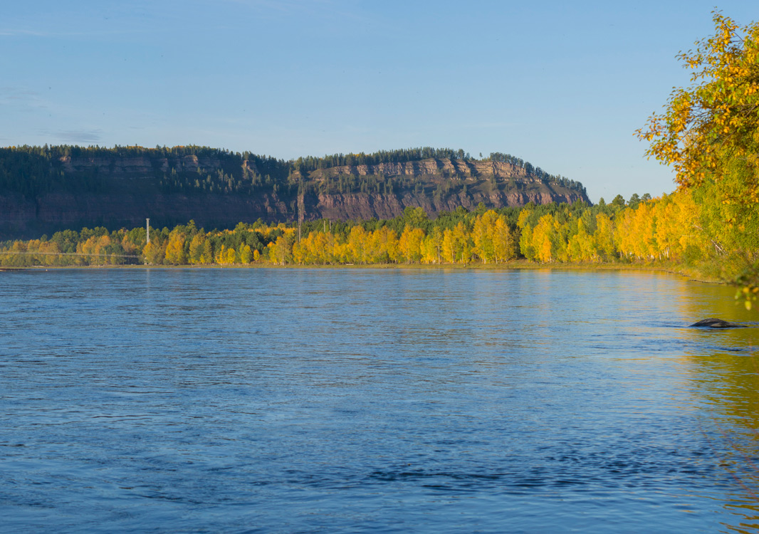 ������� � �������