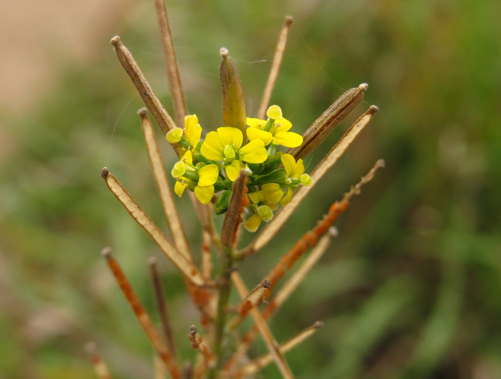 ����� � �����