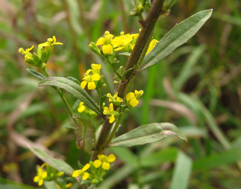 ����� � ������