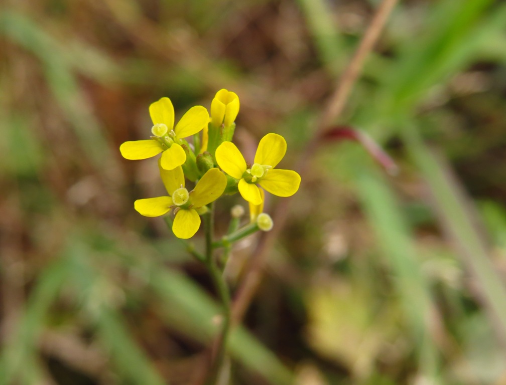 ����� ����������?