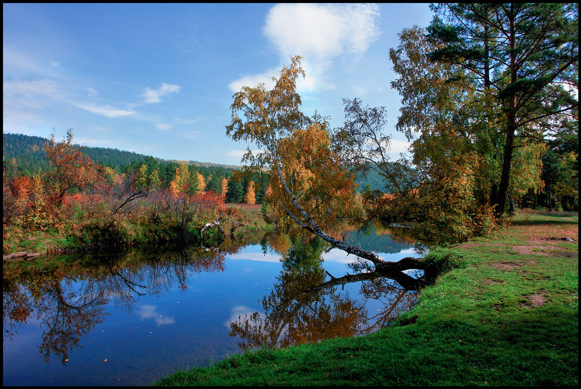 ���� �������_1