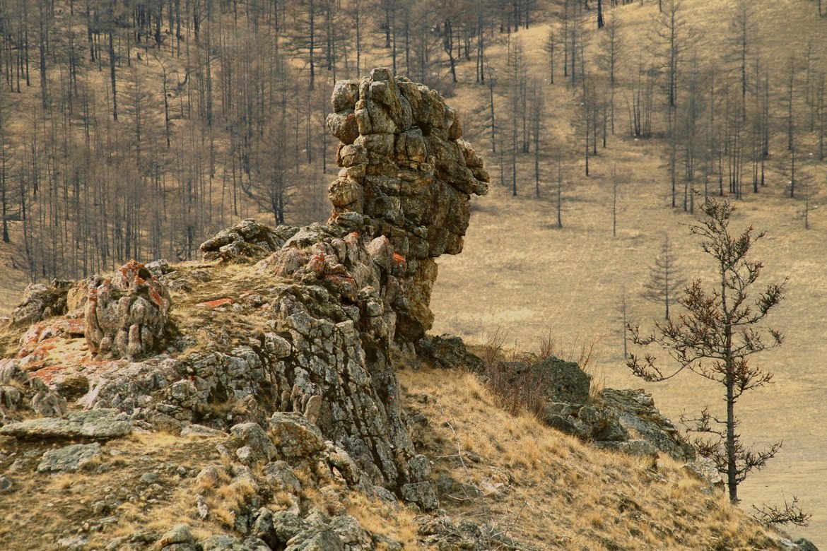 ����������� ����