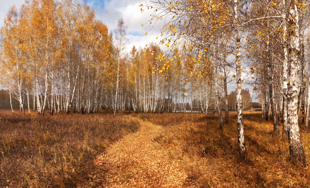 ������� ����