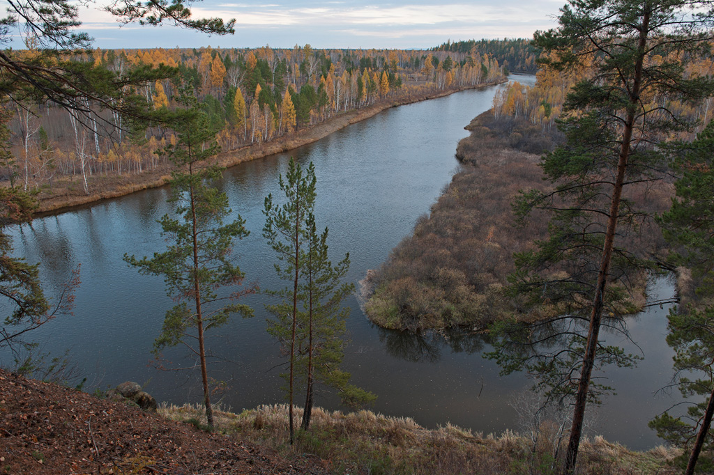 � ������ ��������