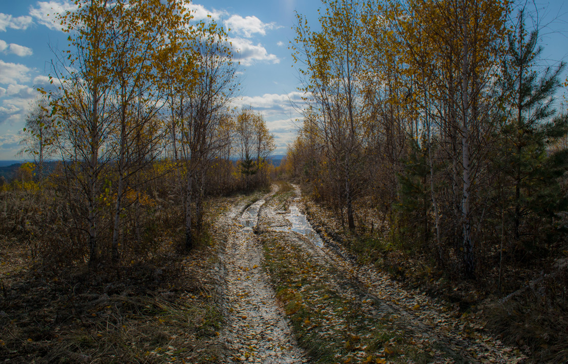 ����������� ������