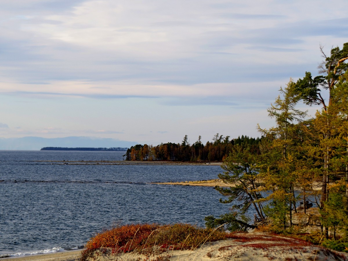 ��� �� �����