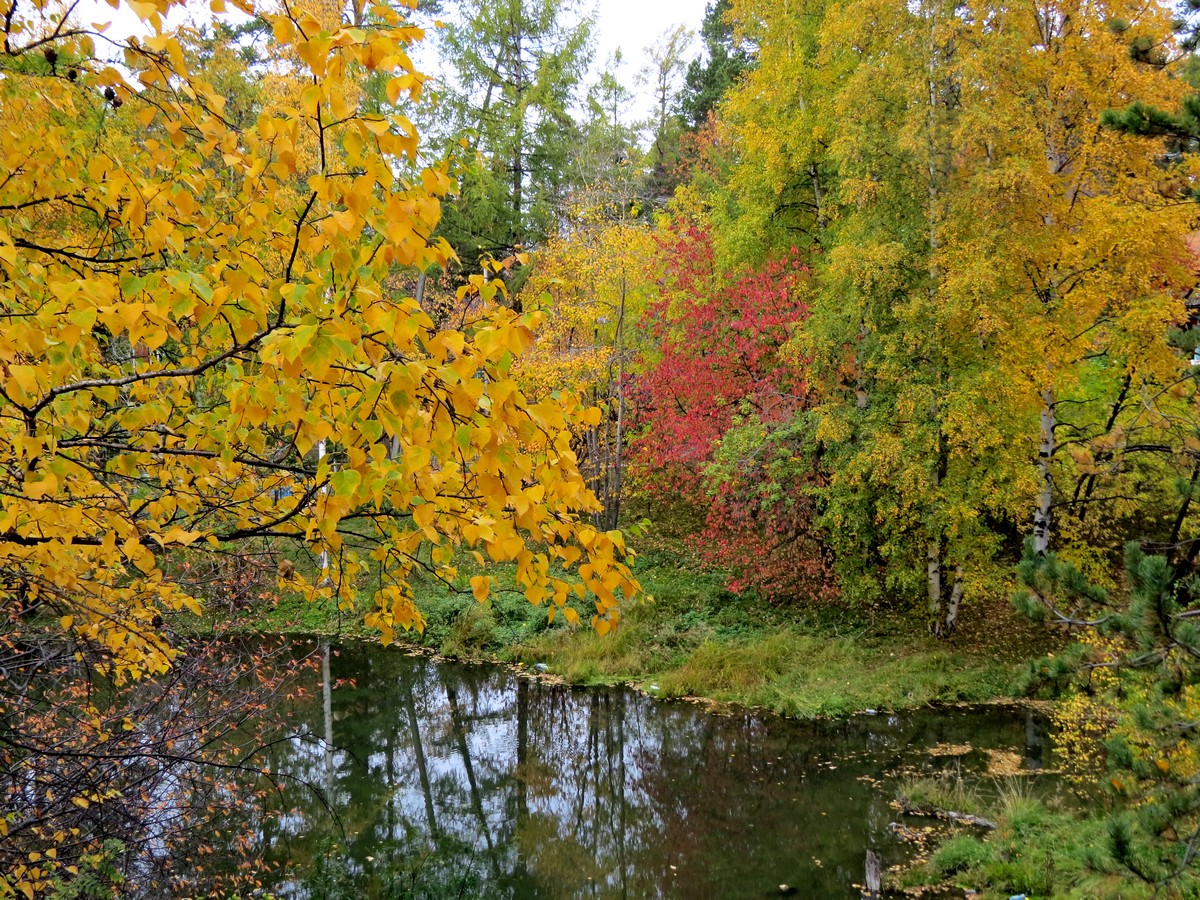 ���� ����������