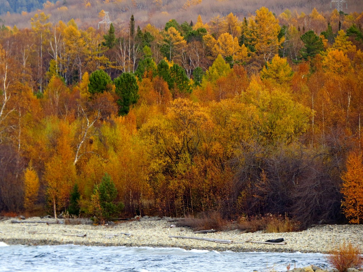 ����� �����