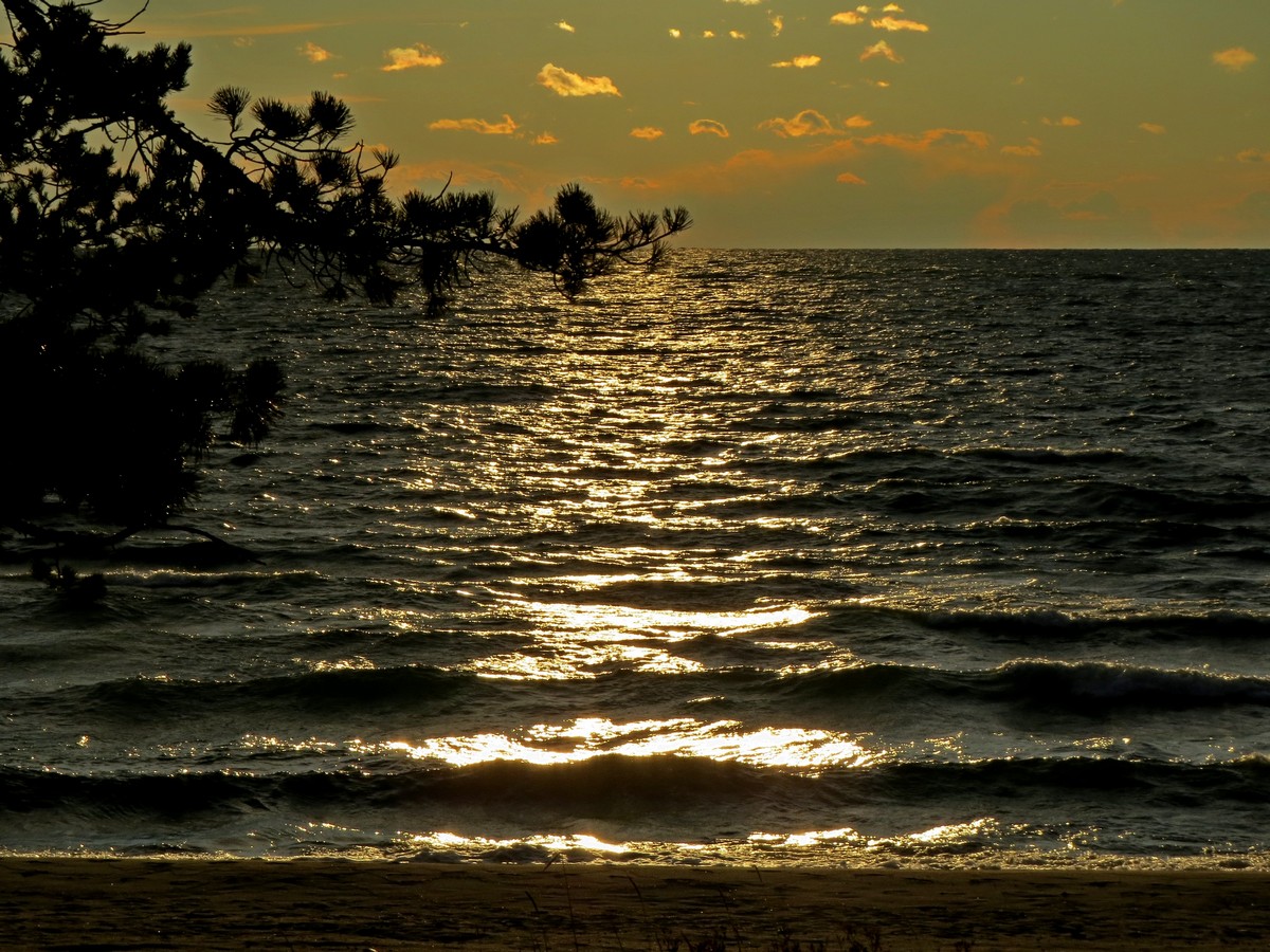 ������������� ������