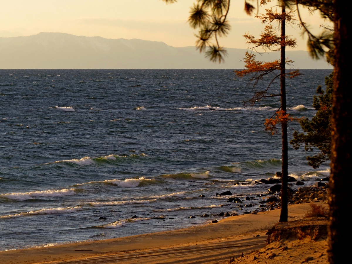 C����� �����