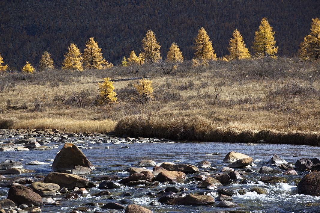 �� ������� �������