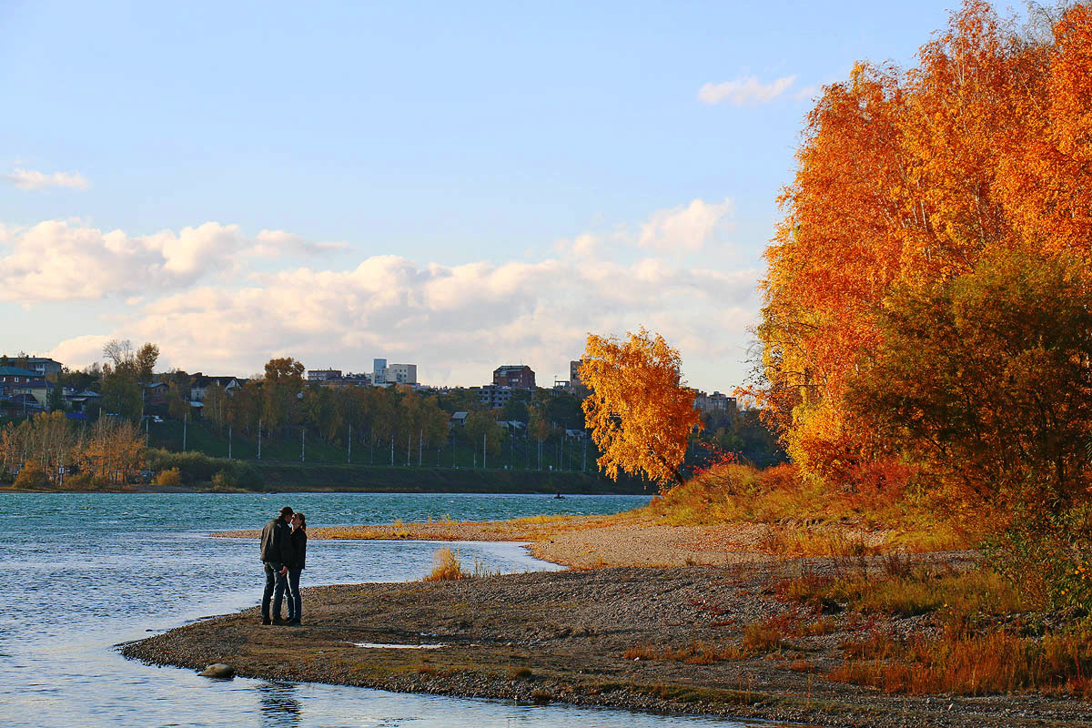 � ����� �������� ����� �� �����